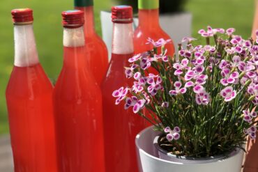 Vaarika-kohupiimakook